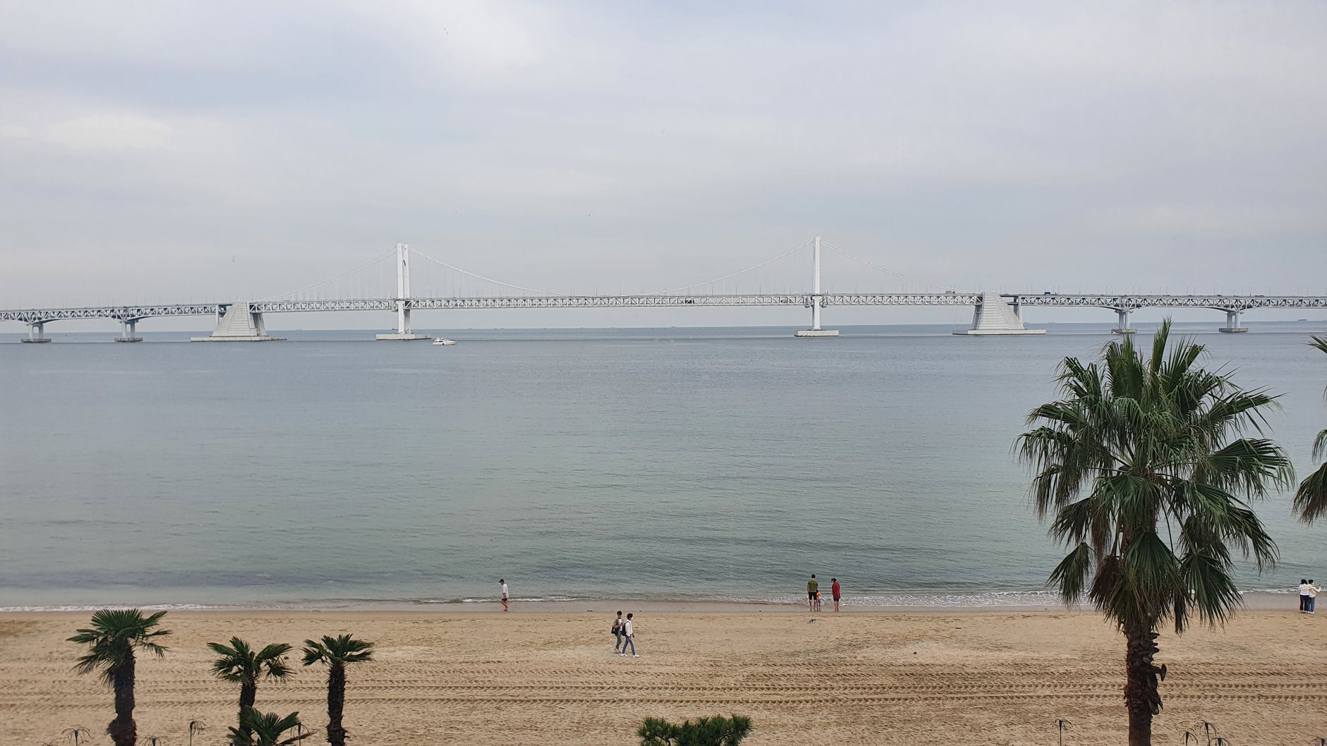 부산 해운대 송정 해수욕장 개장일 파라솔 샤워장 주차 정보