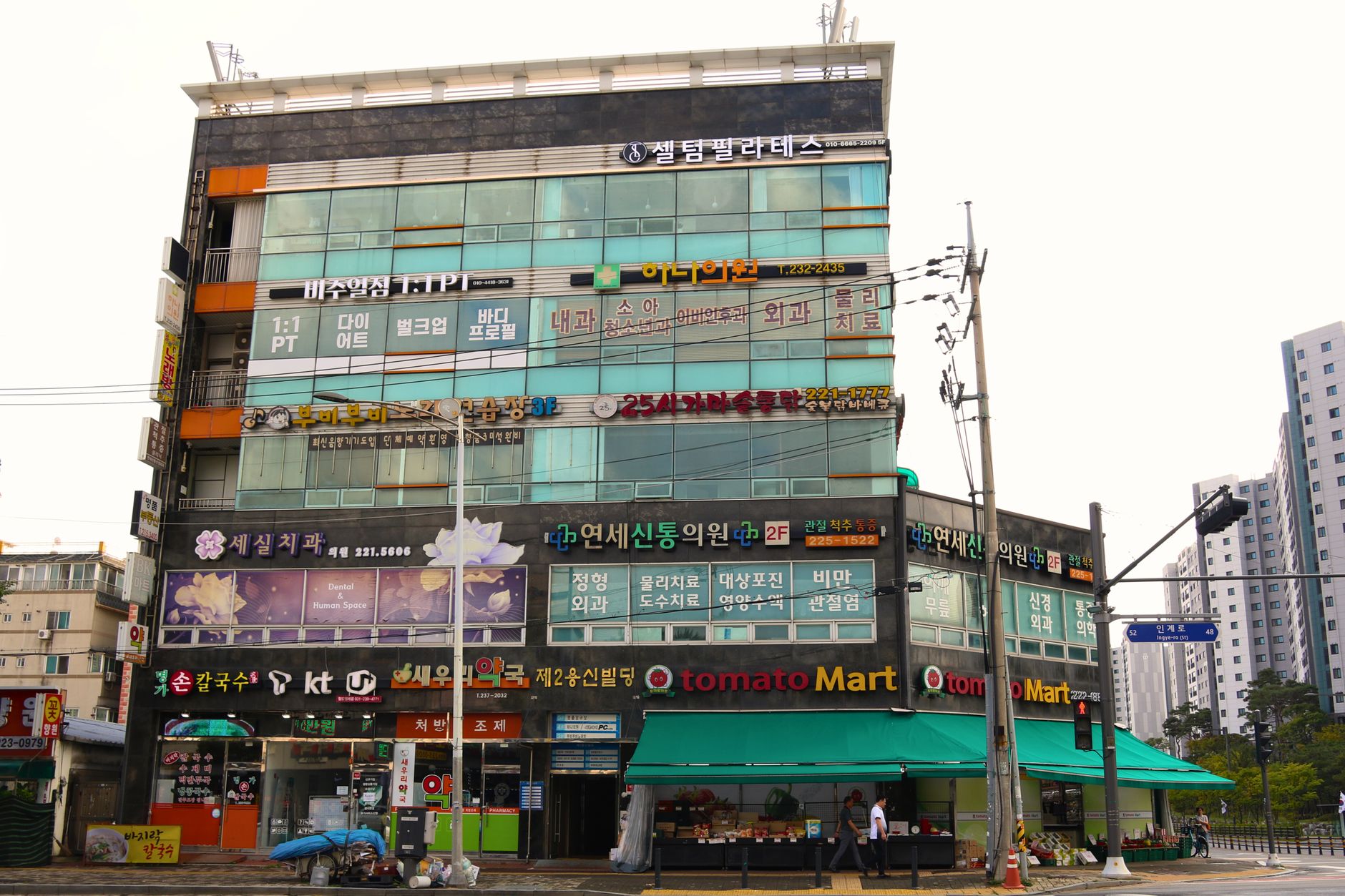 춘천 미니 술페스타 일정 입장료 주차 대중교통 후기