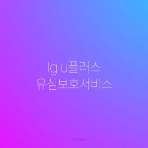 lg u플러스 유심보호서비스