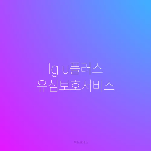 lg u플러스 유심보호서비스