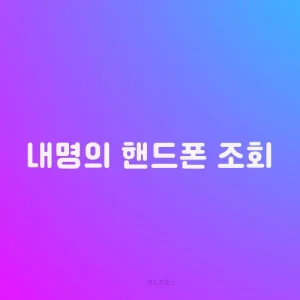 내명의 핸드폰 조회
