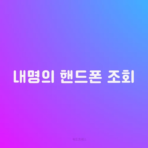 내명의 핸드폰 조회