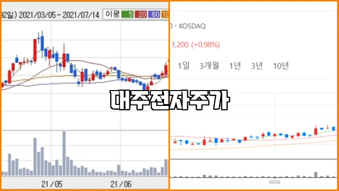 대주전자주가