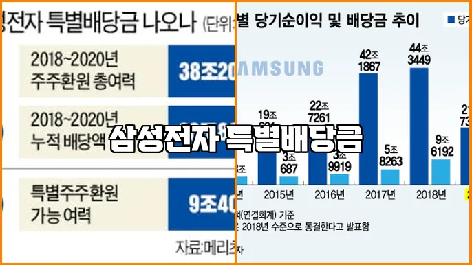 삼성전자 특별배당금