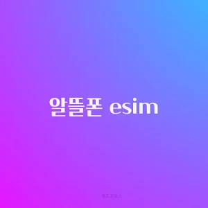 알뜰폰 esim