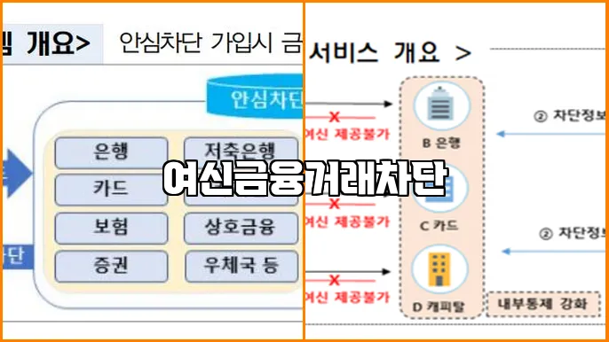 여신금융거래차단