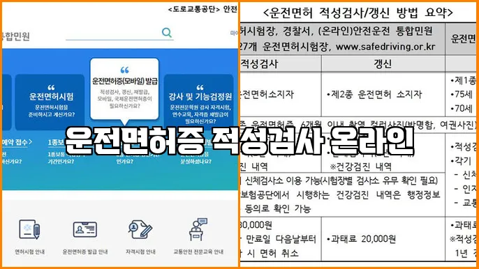 운전면허증 적성검사 온라인