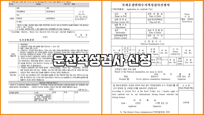 운전적성검사 신청
