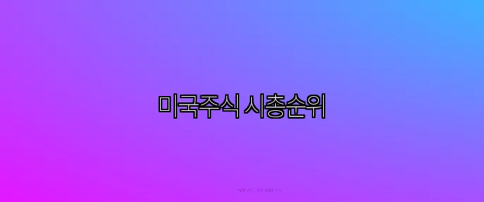 미국주식 시총순위