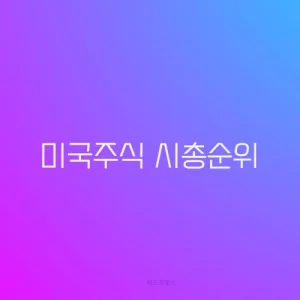 미국주식 시총순위