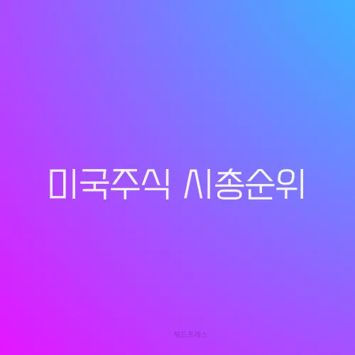 미국주식 시총순위