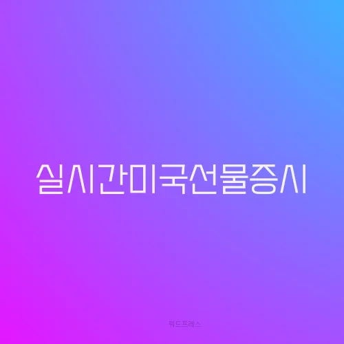 실시간미국선물증시
