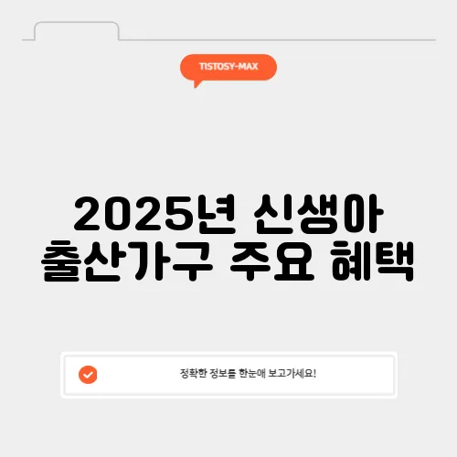 2025년 신생아 출산가구 주요 혜택