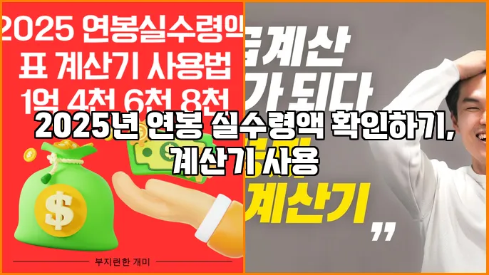 2025년 연봉 실수령액 확인하기, 계산기 사용