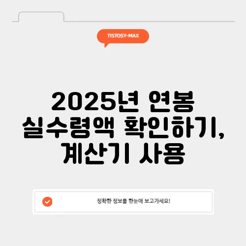 2025년 연봉 실수령액 확인하기, 계산기 사용
