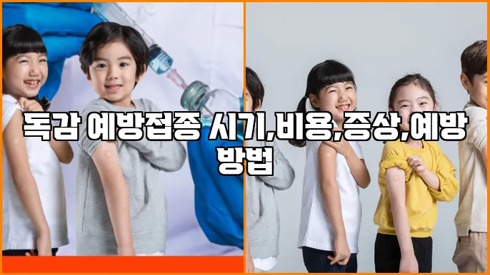 독감 예방접종 시기,비용,증상,예방 방법