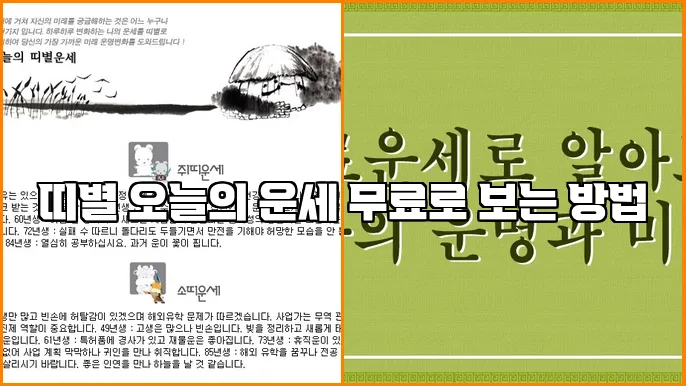 띠별 오늘의 운세 무료로 보는 방법