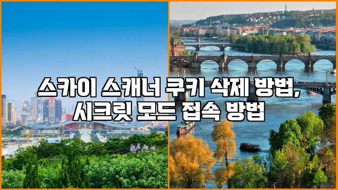 스카이 스캐너 쿠키 삭제 방법, 시크릿 모드 접속 방법