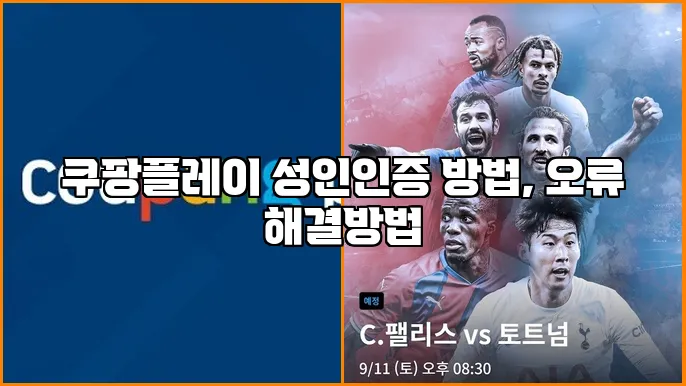 쿠팡플레이 성인인증 방법, 오류 해결방법