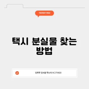 택시 분실물 찾는 방법