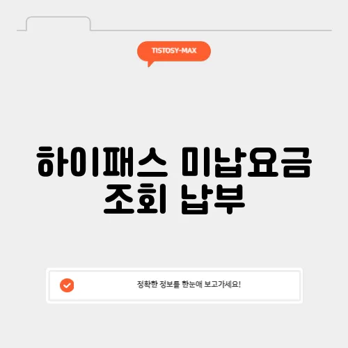 하이패스 미납요금 조회 납부