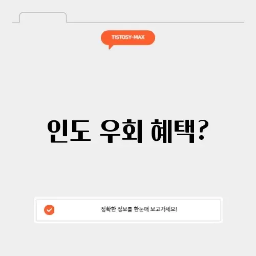 유튜브 프리미엄 인도 우회