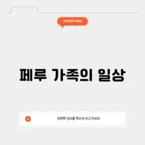 유튜브 페루 가족