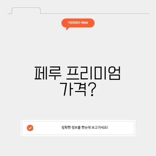유튜브 프리미엄 페루 우회