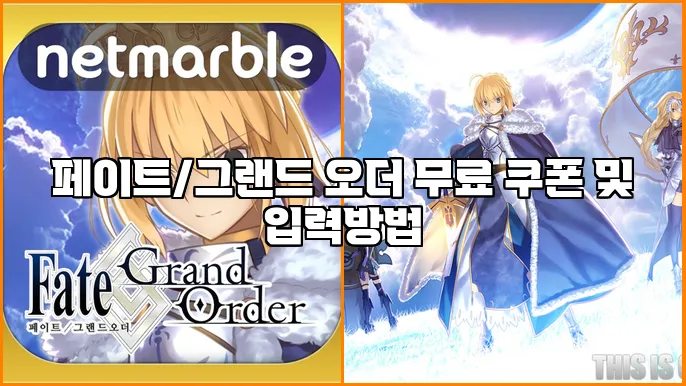 페이트/그랜드 오더 무료 쿠폰 및 입력방법