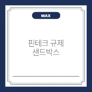 핀테크 규제 샌드박스