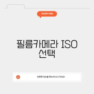 필름카메라 ISO 선택