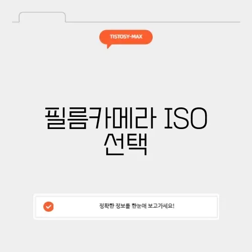 필름카메라 ISO 선택