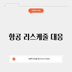 항공 리스케줄 대응