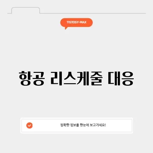 항공 리스케줄 대응