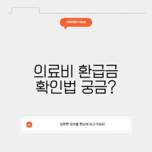 의료비 환급금 조회