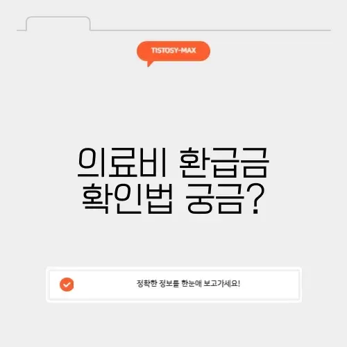 의료비 환급금 조회