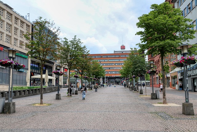 db자동차보험 해지 관련 이미지 3