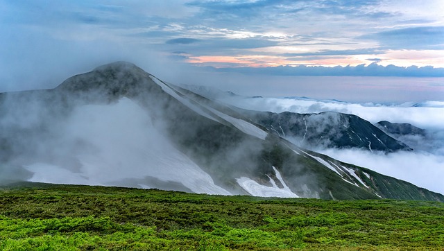 건보료 연봉 계산기 관련 이미지 2