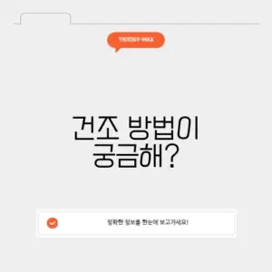 사과대추말리는법