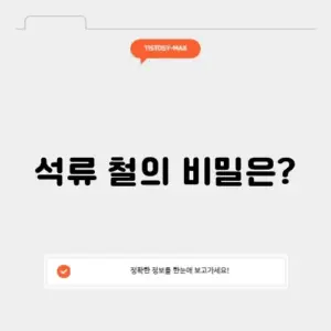 석류 철