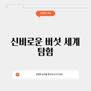 버섯나라