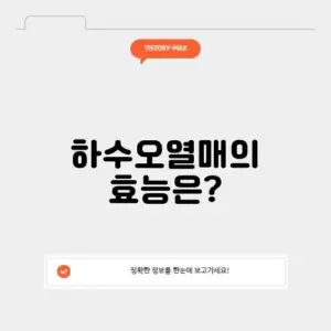 하수오열매
