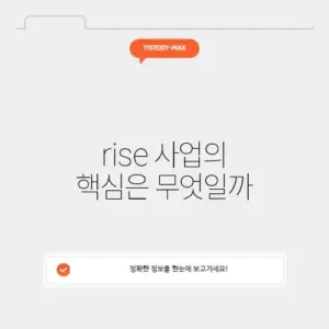 rise 사업의 의미와 성공 전략 알아보기