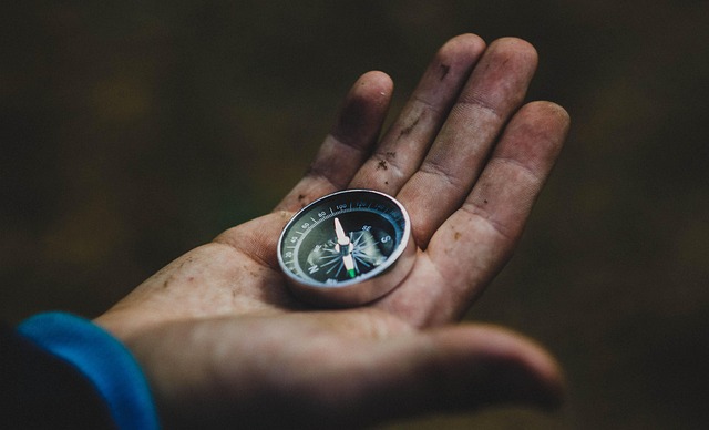 캐시비 잔액조회 방법 완벽 가이드 관련 이미지 1