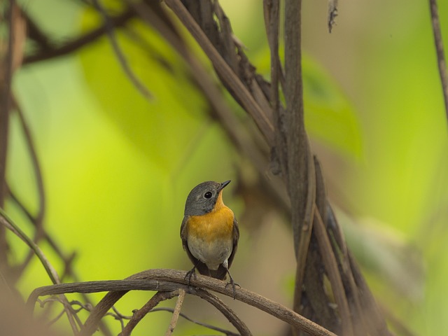 kt 임원인사 완벽 정리: 새로운 변화의 시작 알아보기 관련 이미지 2