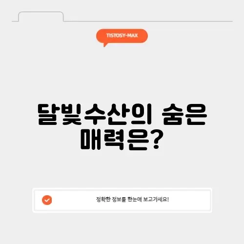 담양 달빛수산의 매력과 즐길 거리 완벽 정리