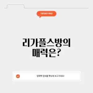 리가플스방 완벽 가이드: 매력적인 공간 알아보기