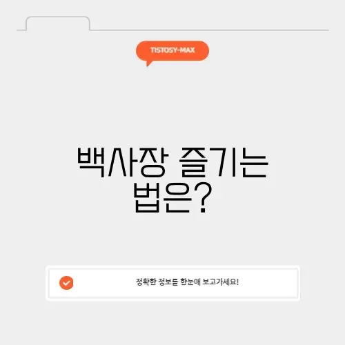 백사장 즐기기 완벽 가이드