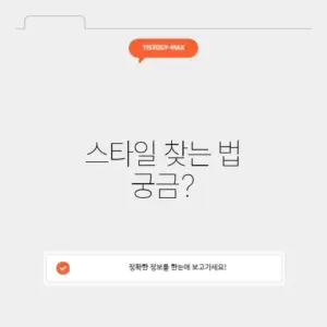스타일리시한 의류쇼핑몰 탐방 가이드