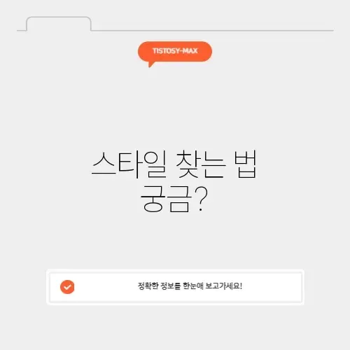 스타일리시한 의류쇼핑몰 탐방 가이드